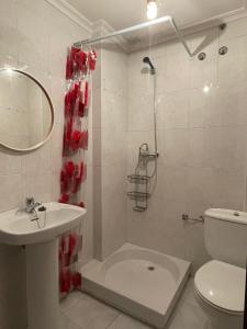 uma casa de banho com um chuveiro, um lavatório e um WC. em Piso BOLBORETEIRO em Allariz