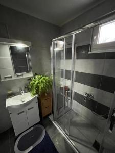 a bathroom with a shower and a toilet and a sink at villa Antonijevic in Brestovac +38 photos