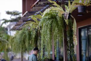 Gallery image of Oasis Phamee in Ban Pha Mi +80 photos