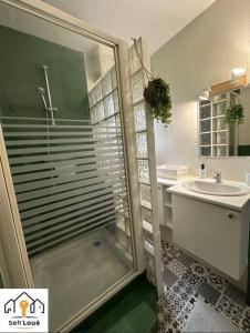 y baño con ducha y lavamanos. en Paul Bert Seh’Loué en Saint-Brieuc