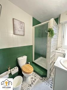 a green and white bathroom with a toilet and a shower at Paul Bert Seh’Loué in Saint-Brieuc