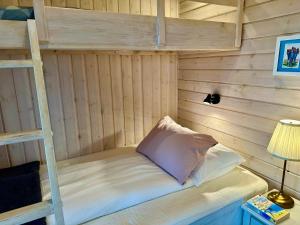 Pokój z łóżkiem piętrowym z drabiną w obiekcie Klettur w mieście Borgarnes