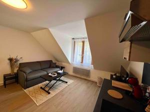 a living room with a couch and a table at Appartement Centre-ville / 6 prsn / Bord du doubs / Au pied de la citadelle in Besançon +6 photos