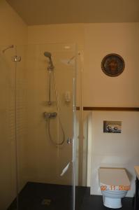 a bathroom with a glass shower with a toilet at Arte Gdańsk in Gdańsk