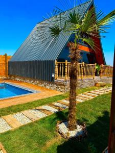 a palm tree in front of a building at Sapanca360bungalows in Sakarya