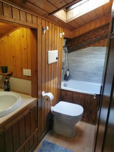 een badkamer met een toilet en een wastafel bij Pichi's House in Cesuna