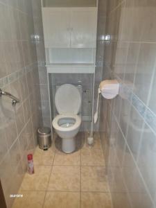 een kleine badkamer met een toilet en een vuilnisbak bij AIR PAIX LE MONT in Herpelmont