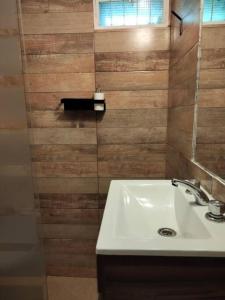 ein Bad mit einem Waschbecken und einem Spiegel in der Unterkunft Lodge del Plata in Potrerillos