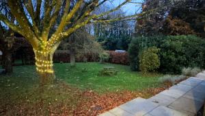 a lighted tree with a picnic table in a yard at Rural Retreat, Wood Burner, Patio, Lawn, Breakfast, new wifi in Warminster