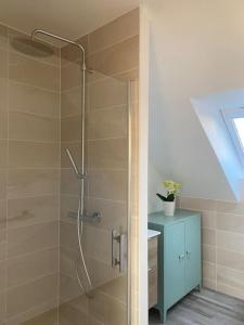 La salle de bains est pourvue d'une douche avec une porte en verre. dans l'établissement Appartement dans une grange rénovée, à Strasbourg