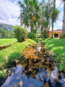 a creek in a field with palm trees and a house at Pousada e Restaurante Dona Siroba in Morretes