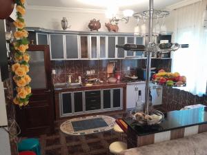 - une cuisine avec une table et un comptoir dans l'établissement Family Villa Medzibna, à K'eda