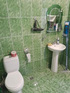 La salle de bains est pourvue de carrelage vert, de toilettes et d'un lavabo. dans l'établissement Family Villa Medzibna, à K'eda