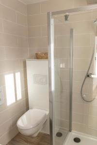 łazienka z toaletą i prysznicem w obiekcie La Ferme Du Grand Air w mieście Fiennes