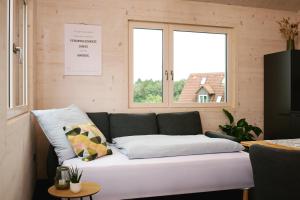 萊爾貝格的住宿－Ferienwohnung HolzGenuss，带沙发和2扇窗户的客厅