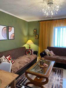 a living room with a couch and a coffee table at 4 Seasons Apartment in Leskovik