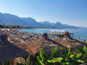 厄吕代尼兹Stunning Suite in Ölüdeniz with Seaview And Pool的一个带草伞的海滩和大海