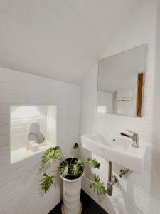 a bathroom with a sink and a mirror and a plant at Nama Hostel Chiangmai in Chiang Mai