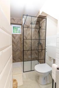 鮑道喬尼特爾代米茨的住宿－HeLo Bungalow，带淋浴和卫生间的浴室