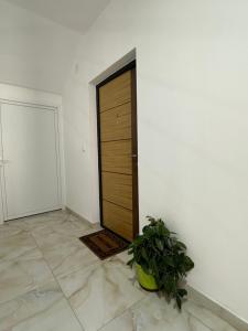 a room with a wooden door and a plant at Kashmir in Golubac