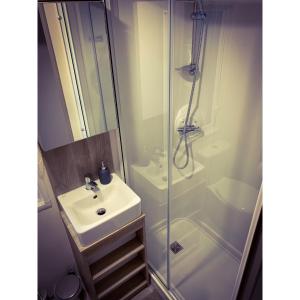 a bathroom with a sink and a shower at Seal Bay Resort in Selsey
