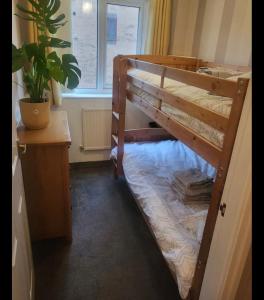 a bunk bed in a room with a potted plant at Cosy 2 bed house in the heart of leyland in Leyland