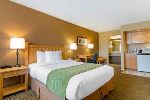een hotelkamer met een groot bed en een keuken bij Econo Lodge Inn & Suites in North Vancouver