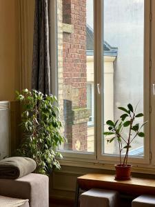 Gallery image of Appartement charmant hyper centre ville Rouen in Rouen