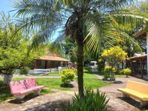 グアラティンゲタにあるComunidade Anuncia-Meの公園内の椰子と二つのベンチ