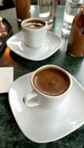 zwei Tassen Kaffee auf Tellern auf einem Tisch in der Unterkunft HOSTAL DEL SOL in Manuel Elordi