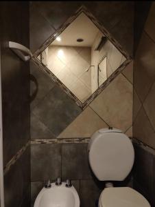 W łazience znajduje się lustro, toaleta i umywalka. w obiekcie HOSTAL DEL SOL w mieście Manuel Elordi