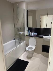 a bathroom with a toilet and a shower and a sink at Waterside heights Dockland in London