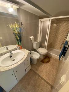 ein Bad mit einem Waschbecken, einem WC und einer Dusche in der Unterkunft Acogedor Apartamento in Hospitalet de Llobregat