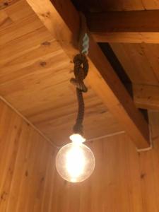 ein Licht hängt an einer Decke mit einer Schlange drauf in der Unterkunft La Casucha in Caboalles de Abajo