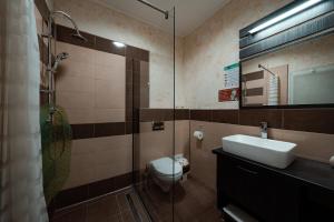 uma casa de banho com um WC, um lavatório e um chuveiro em Quantum House em Vatra Dornei