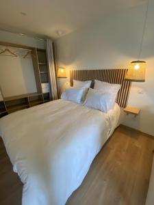 1 dormitorio con 1 cama blanca grande y 2 almohadas en Les petites plumes d’Hag, en Haguenau