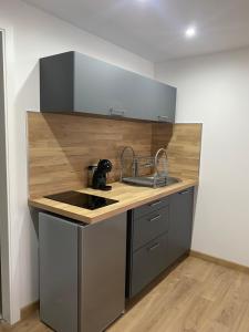 una cucina con lavandino e piano di lavoro in legno di Les petites plumes d’Hag a Haguenau