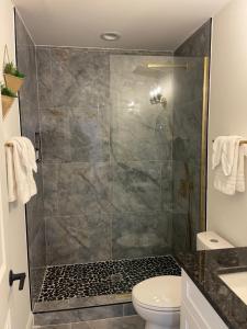 a bathroom with a shower and a toilet at Mirabelle 3bd/1ba 5 min from Downtown/Duke/RTP in Durham