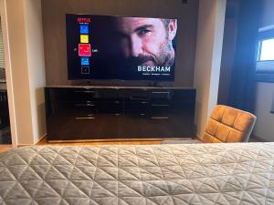 TV de pantalla plana en una habitación con cama en Luxus Loft über den Dächern von Roding, en Roding