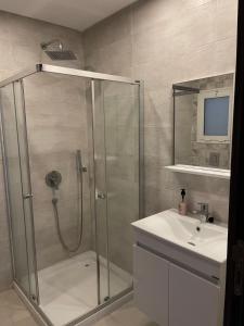W łazience znajduje się prysznic i umywalka. w obiekcie Luxueux appart à 5 min de l'aéroport w mieście La Soukra