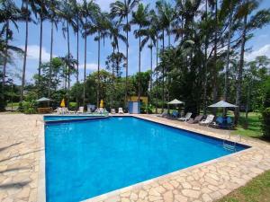 a swimming pool with palm trees in the background at Pousada e Restaurante Dona Siroba in Morretes