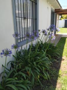 a bunch of purple flowers in front of a house at Cabaña a pasos del lago in Tandil