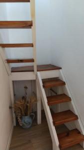 una escalera con escalones de madera en una habitación con una planta en Cabaña a pasos del lago en Tandil