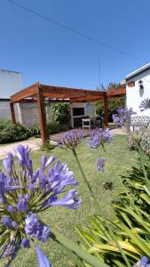 a group of purple flowers in a yard at Cabaña a pasos del lago in Tandil