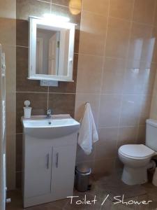 La salle de bains est pourvue d'un lavabo, de toilettes et d'un miroir. dans l'établissement Family Home, 20 mins from Youghal Beach, à Killeagh