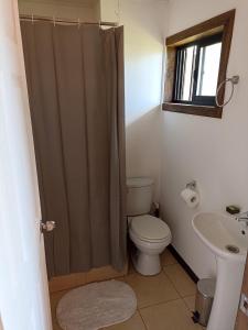 une salle de bain avec toilettes et lavabo dans l'établissement Condominio Doña Jacinta, à Valdivia