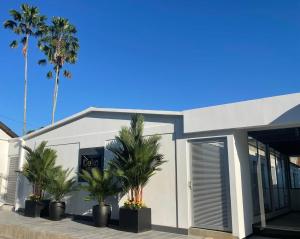 Un edificio blanco con palmeras delante. en Deko rooms, en Arauca