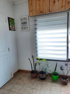 una habitación con macetas en el suelo y una ventana en Despertar en la Patagonia en Trelew