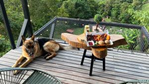 um cão deitado num convés ao lado de uma mesa em Glamping Idilio em Llanitos