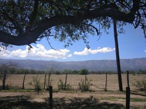 ein Feld mit einem Zaun und Bergen im Hintergrund in der Unterkunft Cabañas el Ñato in Nono